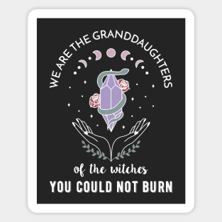 We are the granddaughters of the witches you couldn't burn Magnet